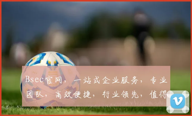 Bsec官网，一站式企业服务，专业团队，高效便捷，行业领先，值得信赖，三重保障，为您护航。