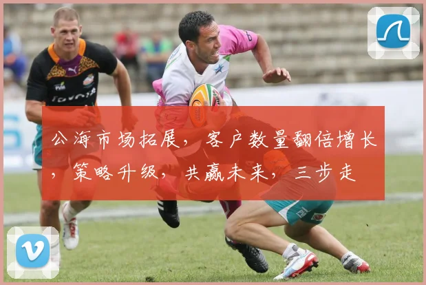 公海市场拓展，客户数量翻倍增长，策略升级，共赢未来，三步走