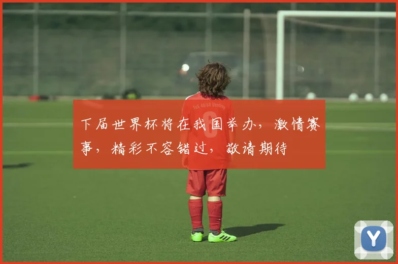 下届世界杯将在我国举办，激情赛事，精彩不容错过，敬请期待