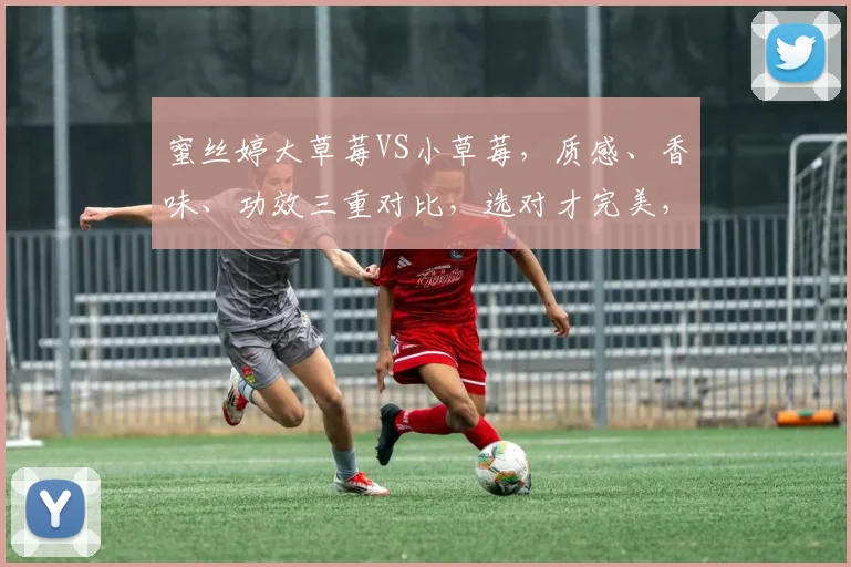 蜜丝婷大草莓VS小草莓，质感、香味、功效三重对比，选对才完美，不容错过