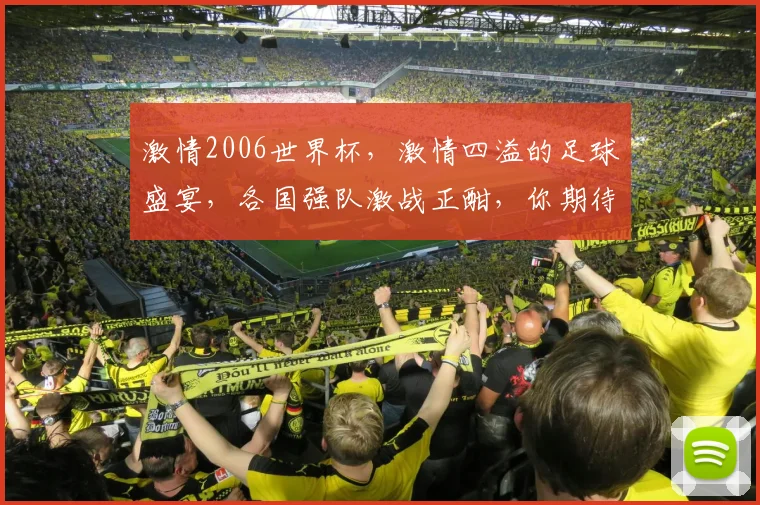 激情2006世界杯，激情四溢的足球盛宴，各国强队激战正酣，你期待哪一队夺冠